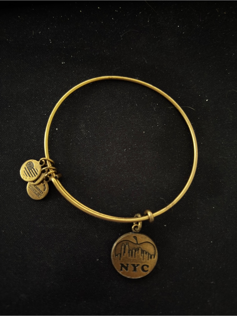 Alex and ani bangle bracelet nyc
